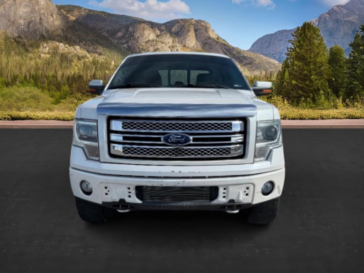 2013 WHITE /LIMITED Ford F-150 LIMITED (1FTFW1ET7DF) with an 3.5L V6 engine, AUTOMATIC transmission, located at 1235 N Woodruff Ave., Idaho Falls, 83401, (208) 523-1053, 43.507172, -112.000488 - At Timberline Auto, finding a great deal on your next vehicle is always easy! Our experienced sales staff's goal is to help find you the right vehicle at the right price! Our knowledgeable finance department has options for almost any credit score. We offer extended service contract options to prote - Photo#9