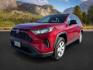 2019 Ruby Flare Pearl /Black Toyota RAV4 LE (2T3H1RFV6KC) with an Dynamic Force 2.5L I-4 port/direct injection engine, AUTOMATIC transmission, located at 1235 N Woodruff Ave., Idaho Falls, 83401, (208) 523-1053, 43.507172, -112.000488 - At Timberline Auto, finding a great deal on your next vehicle is always easy! Our experienced sales staff's goal is to help find you the right vehicle at the right price! Our knowledgeable finance department has options for almost any credit score. We offer extended service contract options to prote - Photo#0