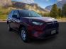 2019 Ruby Flare Pearl /Black Toyota RAV4 LE (2T3H1RFV6KC) with an Dynamic Force 2.5L I-4 port/direct injection engine, AUTOMATIC transmission, located at 1235 N Woodruff Ave., Idaho Falls, 83401, (208) 523-1053, 43.507172, -112.000488 - At Timberline Auto, finding a great deal on your next vehicle is always easy! Our experienced sales staff's goal is to help find you the right vehicle at the right price! Our knowledgeable finance department has options for almost any credit score. We offer extended service contract options to prote - Photo#8