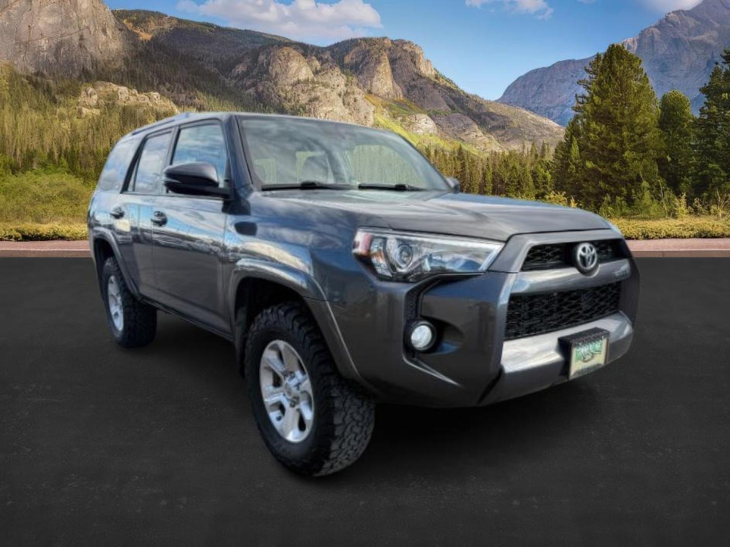 2018 Magnetic Gray Metallic /Black Graphite Toyota 4Runner SR5 (JTEBU5JR0J5) with an 4L V-6 DOHC engine, AUTOMATIC transmission, located at 1235 N Woodruff Ave., Idaho Falls, 83401, (208) 523-1053, 43.507172, -112.000488 - At Timberline Auto, finding a great deal on your next vehicle is always easy! Our experienced sales staff's goal is to help find you the right vehicle at the right price! Our knowledgeable finance department has options for almost any credit score. We offer extended service contract options to prote - Photo#8