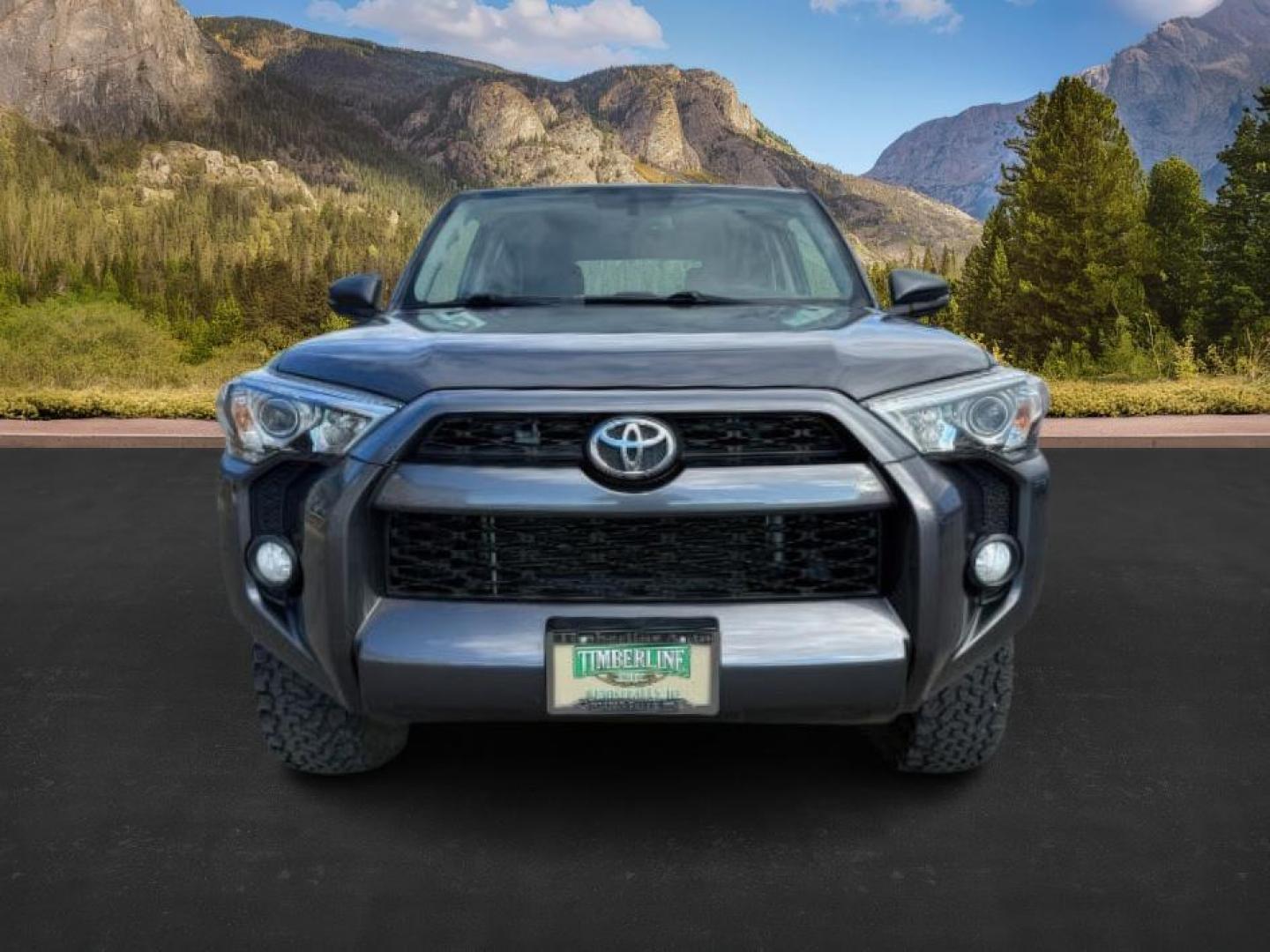 2018 Magnetic Gray Metallic /Black Graphite Toyota 4Runner SR5 (JTEBU5JR0J5) with an 4L V-6 DOHC engine, AUTOMATIC transmission, located at 1235 N Woodruff Ave., Idaho Falls, 83401, (208) 523-1053, 43.507172, -112.000488 - At Timberline Auto, finding a great deal on your next vehicle is always easy! Our experienced sales staff's goal is to help find you the right vehicle at the right price! Our knowledgeable finance department has options for almost any credit score. We offer extended service contract options to prote - Photo#9