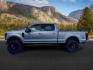 2020 SILVER /Black Ford F-250 (1FT8W2BT4LE) with an Powerstroke 67L V-8 diesel direct injection engine, Automatic transmission, located at 1175 N Woodruff Ave, Idaho Falls, ID, 83401, 43.506901, -111.999657 - At Timberline Auto, finding a great deal on your next vehicle is always easy! Our experienced sales staff's goal is to help find you the right vehicle at the right price! Our knowledgeable finance department has options for almost any credit score. We offer extended service contract options to prote - Photo#1