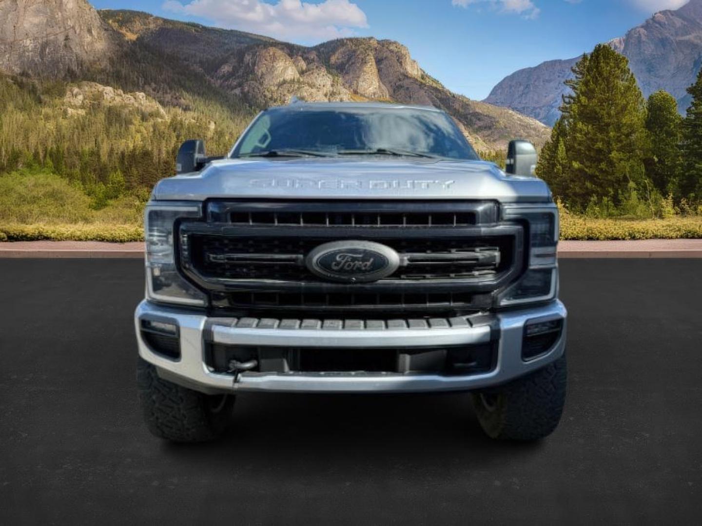 2020 SILVER /Black Ford F-250 (1FT8W2BT4LE) with an Powerstroke 67L V-8 diesel direct injection engine, Automatic transmission, located at 1175 N Woodruff Ave, Idaho Falls, ID, 83401, 43.506901, -111.999657 - At Timberline Auto, finding a great deal on your next vehicle is always easy! Our experienced sales staff's goal is to help find you the right vehicle at the right price! Our knowledgeable finance department has options for almost any credit score. We offer extended service contract options to prote - Photo#9