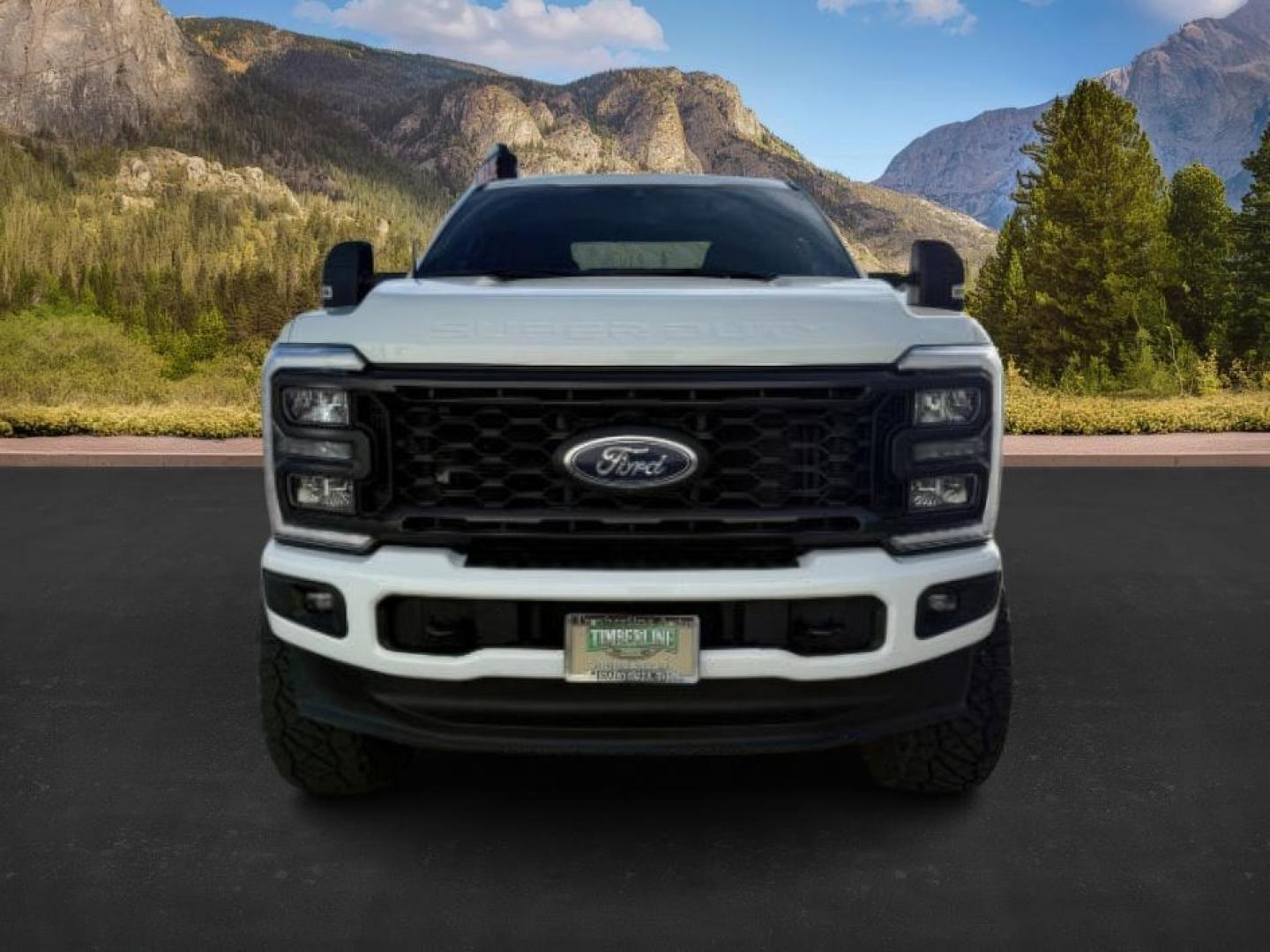 2023 WHITE /Medium Dark Slate Ford F-350 (1FT8W3BT1PE) with an Powerstroke 67L V-8 diesel direct injection engine, Automatic transmission, located at 1175 N Woodruff Ave, Idaho Falls, ID, 83401, 43.506901, -111.999657 - At Timberline Auto, finding a great deal on your next vehicle is always easy! Our experienced sales staff's goal is to help find you the right vehicle at the right price! Our knowledgeable finance department has options for almost any credit score. We offer extended service contract options to prote - Photo#8