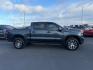 2020 GRAY /Jet Black Chevrolet Silverado 1500 (3GCPYFED2LG) with an EcoTec3 53L V-8 gasoline direct injection engine, Automatic transmission, located at 1175 N Woodruff Ave, Idaho Falls, ID, 83401, 43.506901, -111.999657 - At Timberline Auto, finding a great deal on your next vehicle is always easy! Our experienced sales staff's goal is to help find you the right vehicle at the right price! Our knowledgeable finance department has options for almost any credit score. We offer extended service contract options to prote - Photo#1