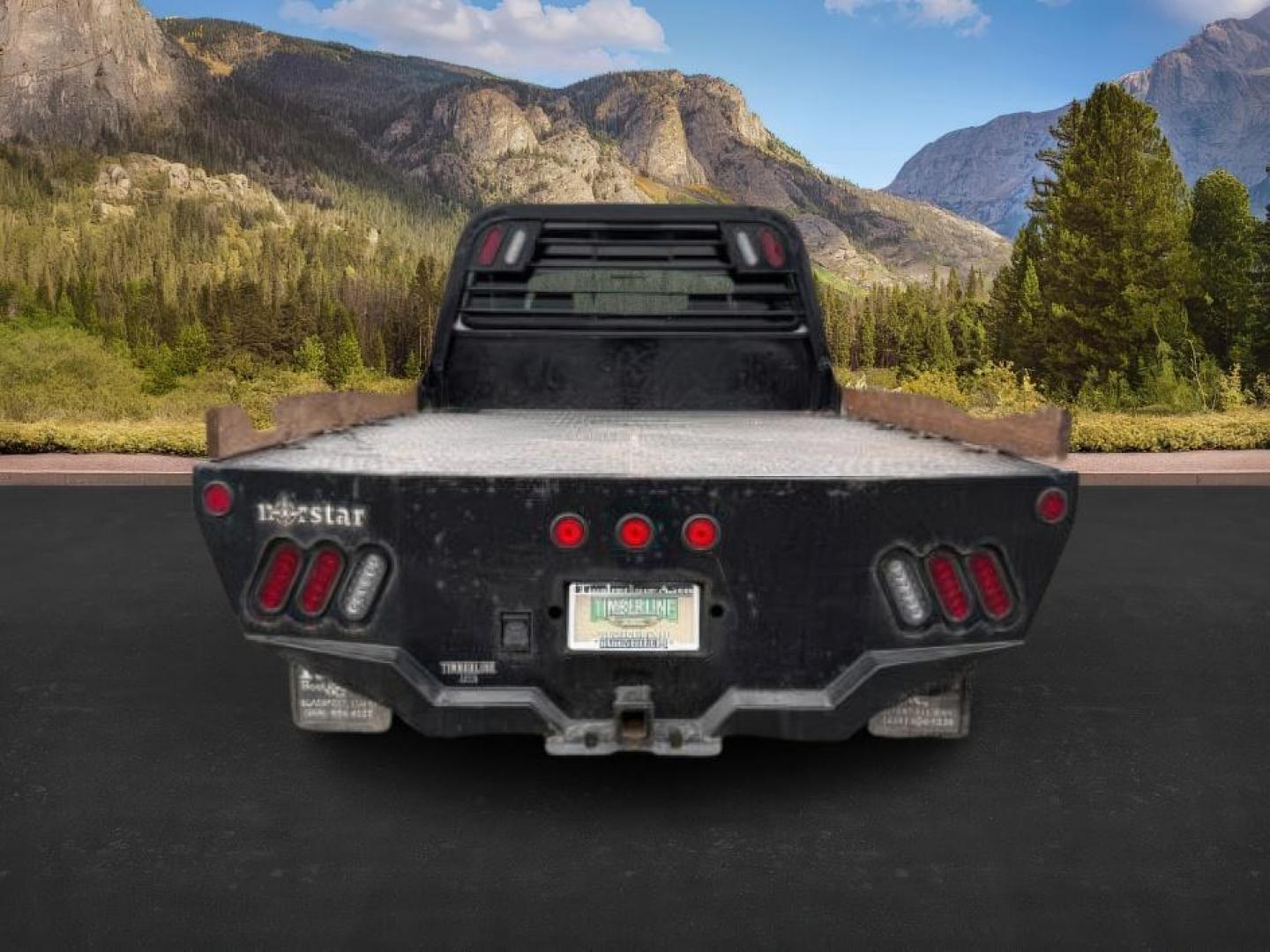 2002 WHITE /Medium Flint Ford F-250 (1FTNW21F82E) with an Powerstroke 73L V-8 diesel direct injection engine, Automatic transmission, located at 1175 N Woodruff Ave, Idaho Falls, ID, 83401, 43.506901, -111.999657 - At Timberline Auto, finding a great deal on your next vehicle is always easy! Our experienced sales staff's goal is to help find you the right vehicle at the right price! Our knowledgeable finance department has options for almost any credit score. We offer extended service contract options to prote - Photo#3