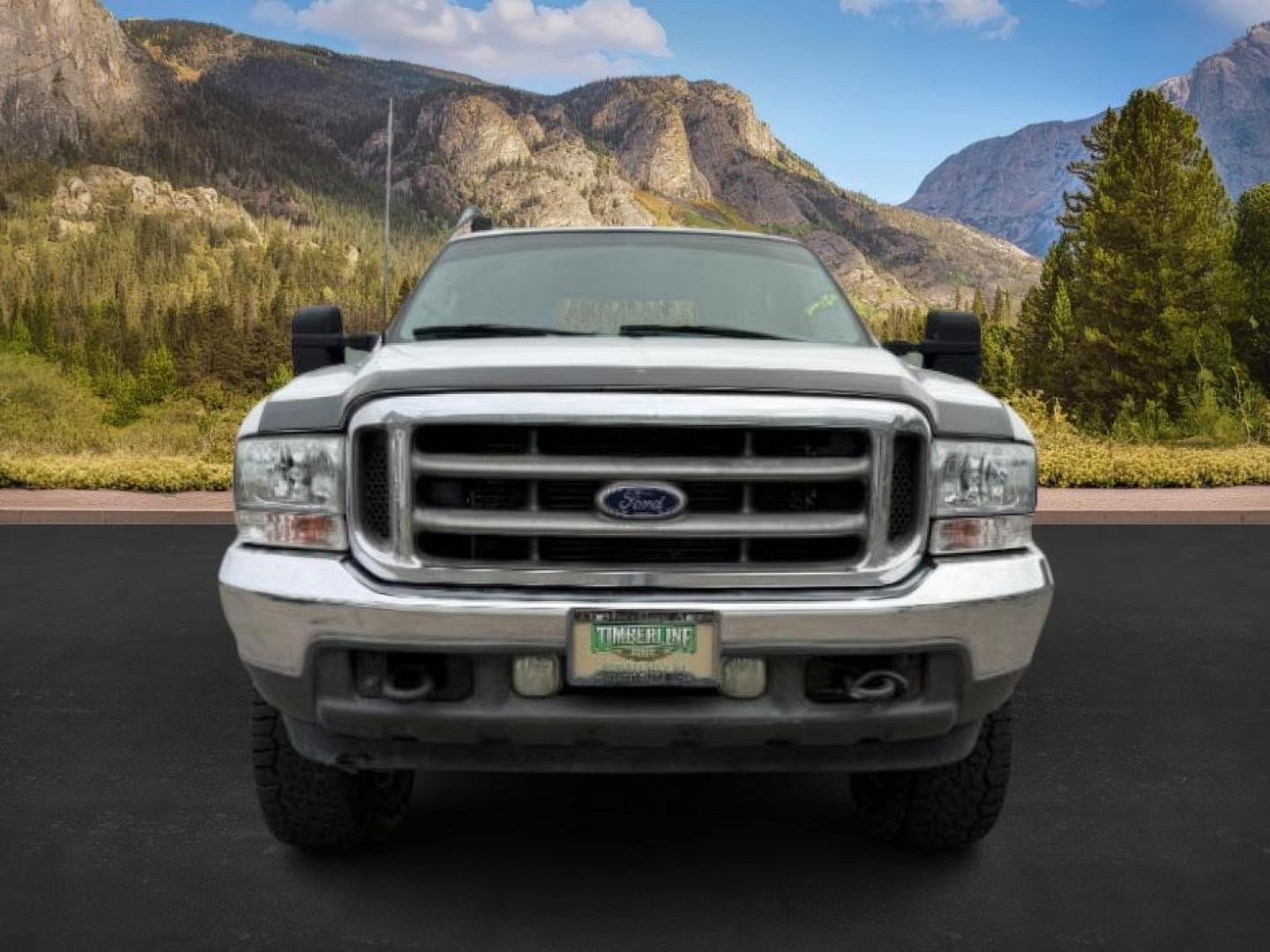 2002 WHITE /Medium Flint Ford F-250 (1FTNW21F82E) with an Powerstroke 73L V-8 diesel direct injection engine, Automatic transmission, located at 1175 N Woodruff Ave, Idaho Falls, ID, 83401, 43.506901, -111.999657 - At Timberline Auto, finding a great deal on your next vehicle is always easy! Our experienced sales staff's goal is to help find you the right vehicle at the right price! Our knowledgeable finance department has options for almost any credit score. We offer extended service contract options to prote - Photo#7