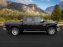 2017 BLACK /LEATHER Ram 1500 (1C6RR7PT4HS) with an 57 engine, Automatic transmission, located at 1175 N Woodruff Ave, Idaho Falls, ID, 83401, 43.506901, -111.999657 - At Timberline Auto, finding a great deal on your next vehicle is always easy! Our experienced sales staff's goal is to help find you the right vehicle at the right price! Our knowledgeable finance department has options for almost any credit score. We offer extended service contract options to prote - Photo#6