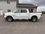 2013 WHITE /LEATHER Ram 1500 LIMITED (1C6RR7NT9DS) with an 5.7 engine, AUTOMATIC transmission, located at 1235 N Woodruff Ave., Idaho Falls, 83401, (208) 523-1053, 43.507172, -112.000488 - At Timberline Auto, finding a great deal on your next vehicle is always easy! Our experienced sales staff's goal is to help find you the right vehicle at the right price! Our knowledgeable finance department has options for almost any credit score. We offer extended service contract options to prote - Photo#1