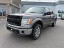 2013 Sterling Gray Metallic /Steel Gray Ford F-150 XLT (1FTFW1ET9DF) with an EcoBoost 3.5L V-6 gasoline direct injection engine, AUTOMATIC transmission, located at 1235 N Woodruff Ave., Idaho Falls, 83401, (208) 523-1053, 43.507172, -112.000488 - At Timberline Auto, finding a great deal on your next vehicle is always easy! Our experienced sales staff's goal is to help find you the right vehicle at the right price! Our knowledgeable finance department has options for almost any credit score. We offer extended service contract options to prote - Photo#1