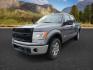 2013 Sterling Gray Metallic /Steel Gray Ford F-150 (1FTFW1ET9DF) with an EcoBoost 35L V-6 gasoline direct injection engine, Automatic transmission, located at 1175 N Woodruff Ave, Idaho Falls, ID, 83401, 43.506901, -111.999657 - At Timberline Auto, finding a great deal on your next vehicle is always easy! Our experienced sales staff's goal is to help find you the right vehicle at the right price! Our knowledgeable finance department has options for almost any credit score. We offer extended service contract options to prote - Photo#0
