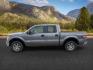 2013 Sterling Gray Metallic /Steel Gray Ford F-150 (1FTFW1ET9DF) with an EcoBoost 35L V-6 gasoline direct injection engine, Automatic transmission, located at 1175 N Woodruff Ave, Idaho Falls, ID, 83401, 43.506901, -111.999657 - At Timberline Auto, finding a great deal on your next vehicle is always easy! Our experienced sales staff's goal is to help find you the right vehicle at the right price! Our knowledgeable finance department has options for almost any credit score. We offer extended service contract options to prote - Photo#1