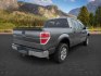 2013 Sterling Gray Metallic /Steel Gray Ford F-150 (1FTFW1ET9DF) with an EcoBoost 35L V-6 gasoline direct injection engine, Automatic transmission, located at 1175 N Woodruff Ave, Idaho Falls, ID, 83401, 43.506901, -111.999657 - At Timberline Auto, finding a great deal on your next vehicle is always easy! Our experienced sales staff's goal is to help find you the right vehicle at the right price! Our knowledgeable finance department has options for almost any credit score. We offer extended service contract options to prote - Photo#5
