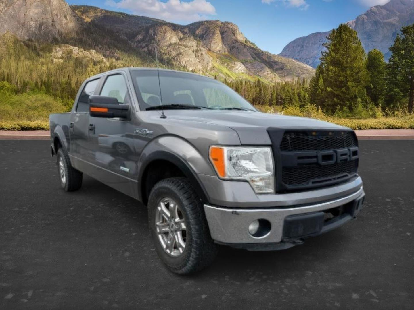 2013 Sterling Gray Metallic /Steel Gray Ford F-150 (1FTFW1ET9DF) with an EcoBoost 35L V-6 gasoline direct injection engine, Automatic transmission, located at 1175 N Woodruff Ave, Idaho Falls, ID, 83401, 43.506901, -111.999657 - At Timberline Auto, finding a great deal on your next vehicle is always easy! Our experienced sales staff's goal is to help find you the right vehicle at the right price! Our knowledgeable finance department has options for almost any credit score. We offer extended service contract options to prote - Photo#6
