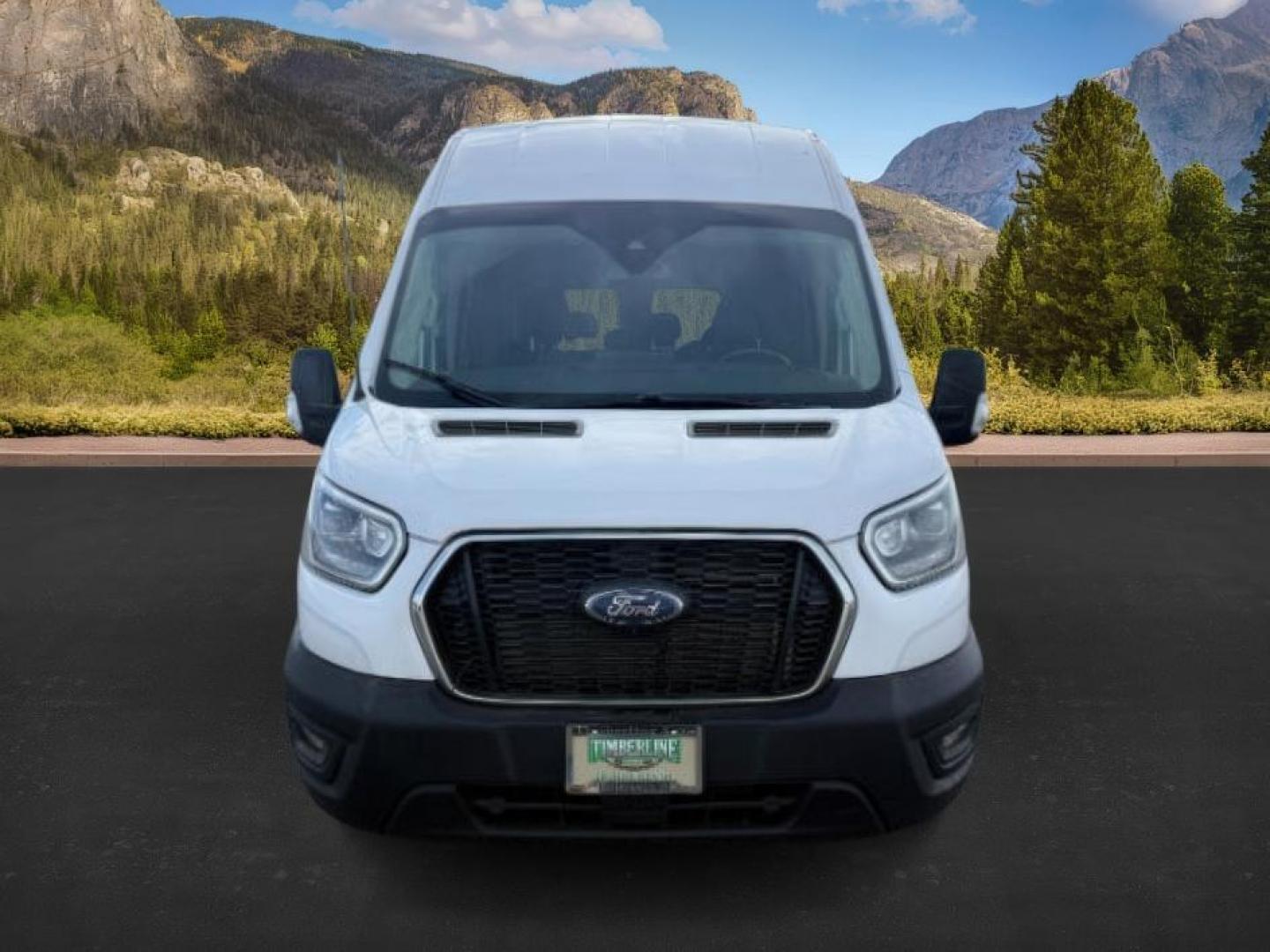 2023 Oxford White /Ebony Ford Transit Passenger Wagon (1FBAX9X80PK) with an 35L V-6 portdirect injection engine, Automatic transmission, located at 1175 N Woodruff Ave, Idaho Falls, ID, 83401, 43.506901, -111.999657 - Photo#9