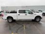 2016 Oxford White /Medium Earth Gray Ford F-150 (1FTFW1EF7GF) with an 5L V-8 DOHC engine, Automatic transmission, located at 1175 N Woodruff Ave, Idaho Falls, ID, 83401, 43.506901, -111.999657 - At Timberline Auto, finding a great deal on your next vehicle is always easy! Our experienced sales staff's goal is to help find you the right vehicle at the right price! Our knowledgeable finance department has options for almost any credit score. We offer extended service contract options to prote - Photo#31