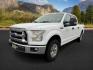 2016 Oxford White /Medium Earth Gray Ford F-150 (1FTFW1EF7GF) with an 5L V-8 DOHC engine, Automatic transmission, located at 1175 N Woodruff Ave, Idaho Falls, ID, 83401, 43.506901, -111.999657 - At Timberline Auto, finding a great deal on your next vehicle is always easy! Our experienced sales staff's goal is to help find you the right vehicle at the right price! Our knowledgeable finance department has options for almost any credit score. We offer extended service contract options to prote - Photo#0