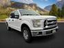 2016 Oxford White /Medium Earth Gray Ford F-150 (1FTFW1EF7GF) with an 5L V-8 DOHC engine, Automatic transmission, located at 1175 N Woodruff Ave, Idaho Falls, ID, 83401, 43.506901, -111.999657 - At Timberline Auto, finding a great deal on your next vehicle is always easy! Our experienced sales staff's goal is to help find you the right vehicle at the right price! Our knowledgeable finance department has options for almost any credit score. We offer extended service contract options to prote - Photo#8