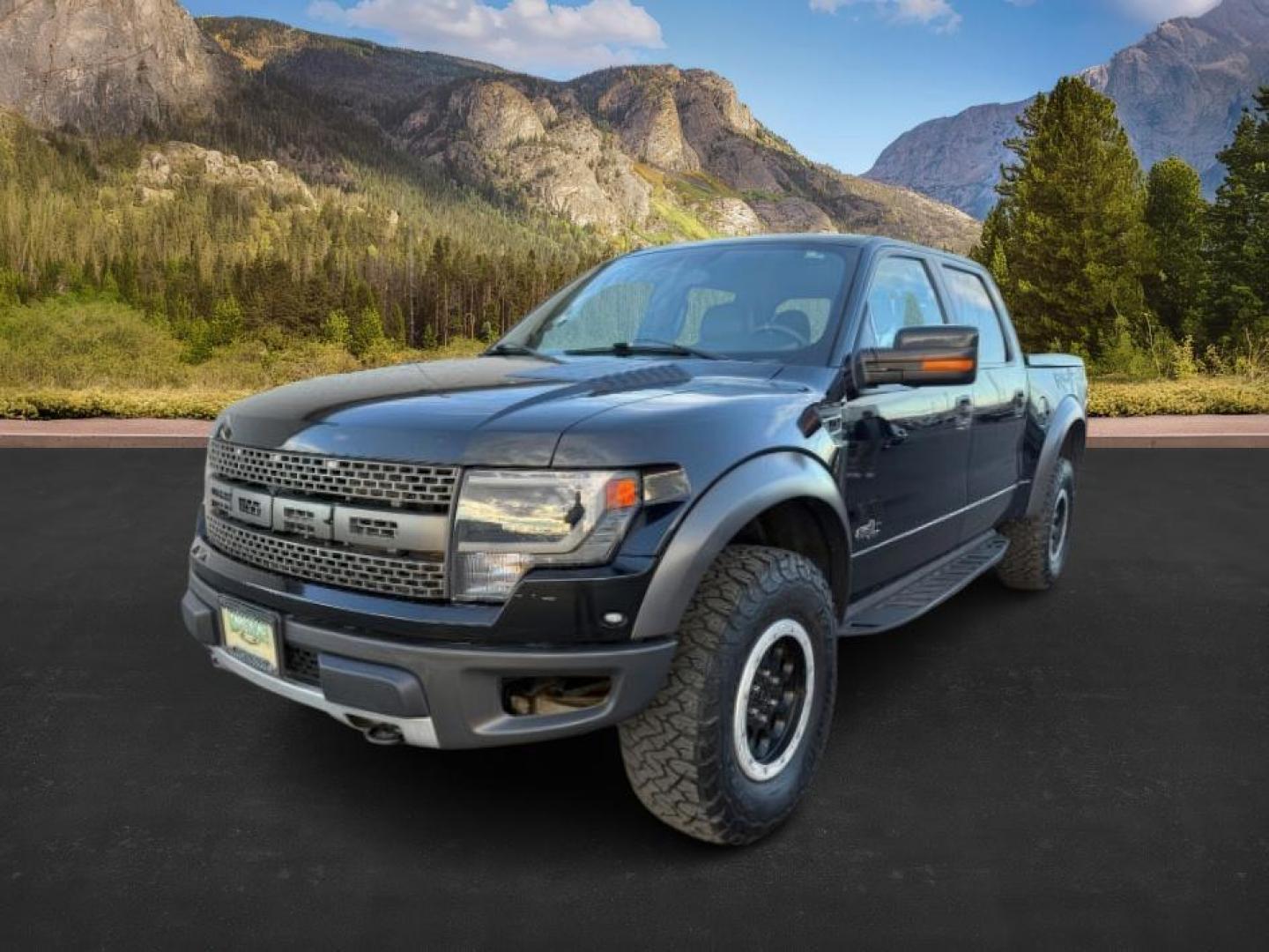 2014 Tuxedo Black Metallic /Black Ford F-150 (1FTFW1R69EF) with an 62L V-8 variable valve control engine, Automatic transmission, located at 1175 N Woodruff Ave, Idaho Falls, ID, 83401, 43.506901, -111.999657 - At Timberline Auto, finding a great deal on your next vehicle is always easy! Our experienced sales staff's goal is to help find you the right vehicle at the right price! Our knowledgeable finance department has options for almost any credit score. We offer extended service contract options to prote - Photo#0