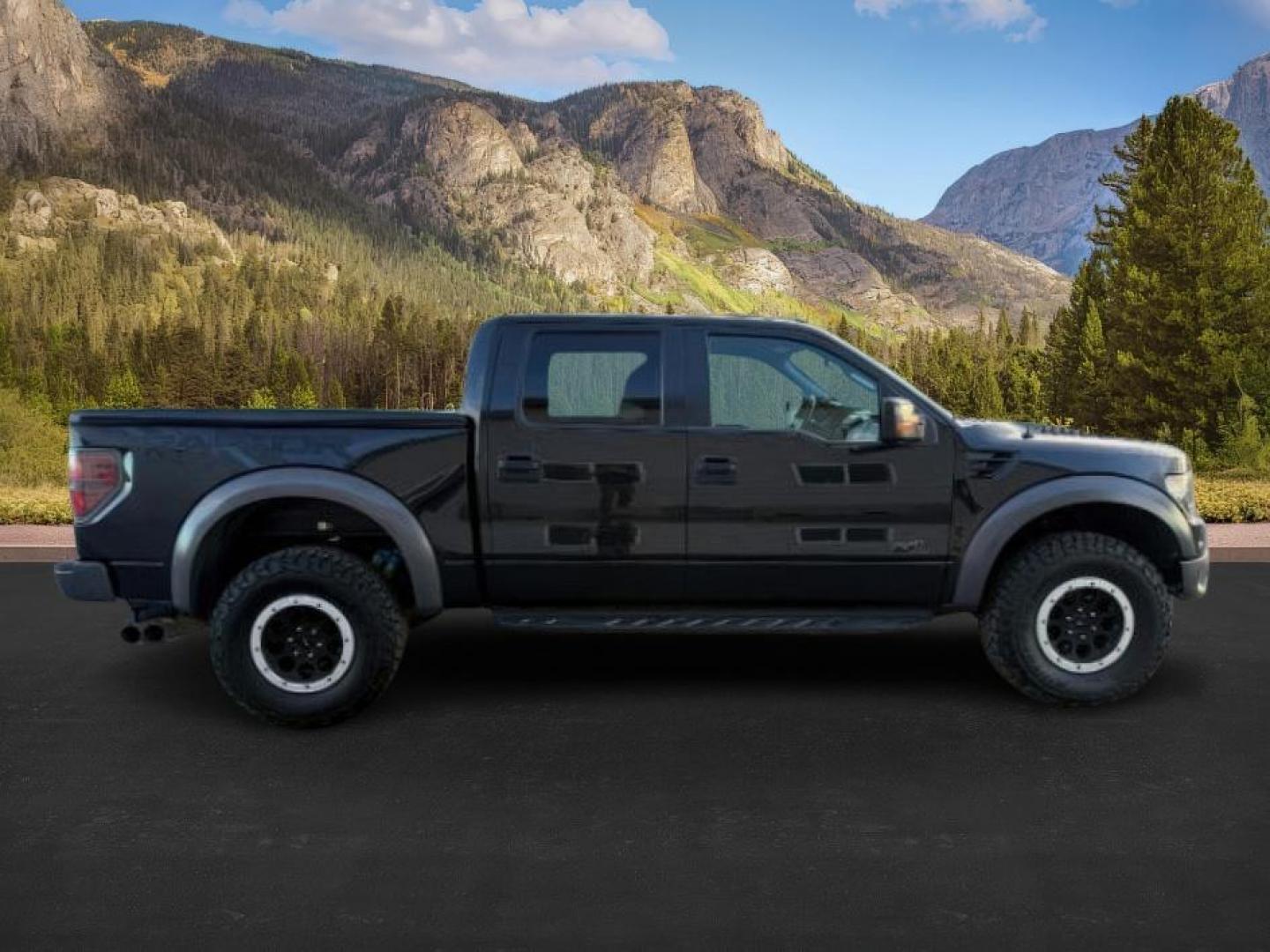 2014 Tuxedo Black Metallic /Black Ford F-150 (1FTFW1R69EF) with an 62L V-8 variable valve control engine, Automatic transmission, located at 1175 N Woodruff Ave, Idaho Falls, ID, 83401, 43.506901, -111.999657 - At Timberline Auto, finding a great deal on your next vehicle is always easy! Our experienced sales staff's goal is to help find you the right vehicle at the right price! Our knowledgeable finance department has options for almost any credit score. We offer extended service contract options to prote - Photo#7