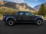 2014 Tuxedo Black Metallic /Black Ford F-150 (1FTFW1R69EF) with an 62L V-8 variable valve control engine, Automatic transmission, located at 1175 N Woodruff Ave, Idaho Falls, ID, 83401, 43.506901, -111.999657 - At Timberline Auto, finding a great deal on your next vehicle is always easy! Our experienced sales staff's goal is to help find you the right vehicle at the right price! Our knowledgeable finance department has options for almost any credit score. We offer extended service contract options to prote - Photo#7