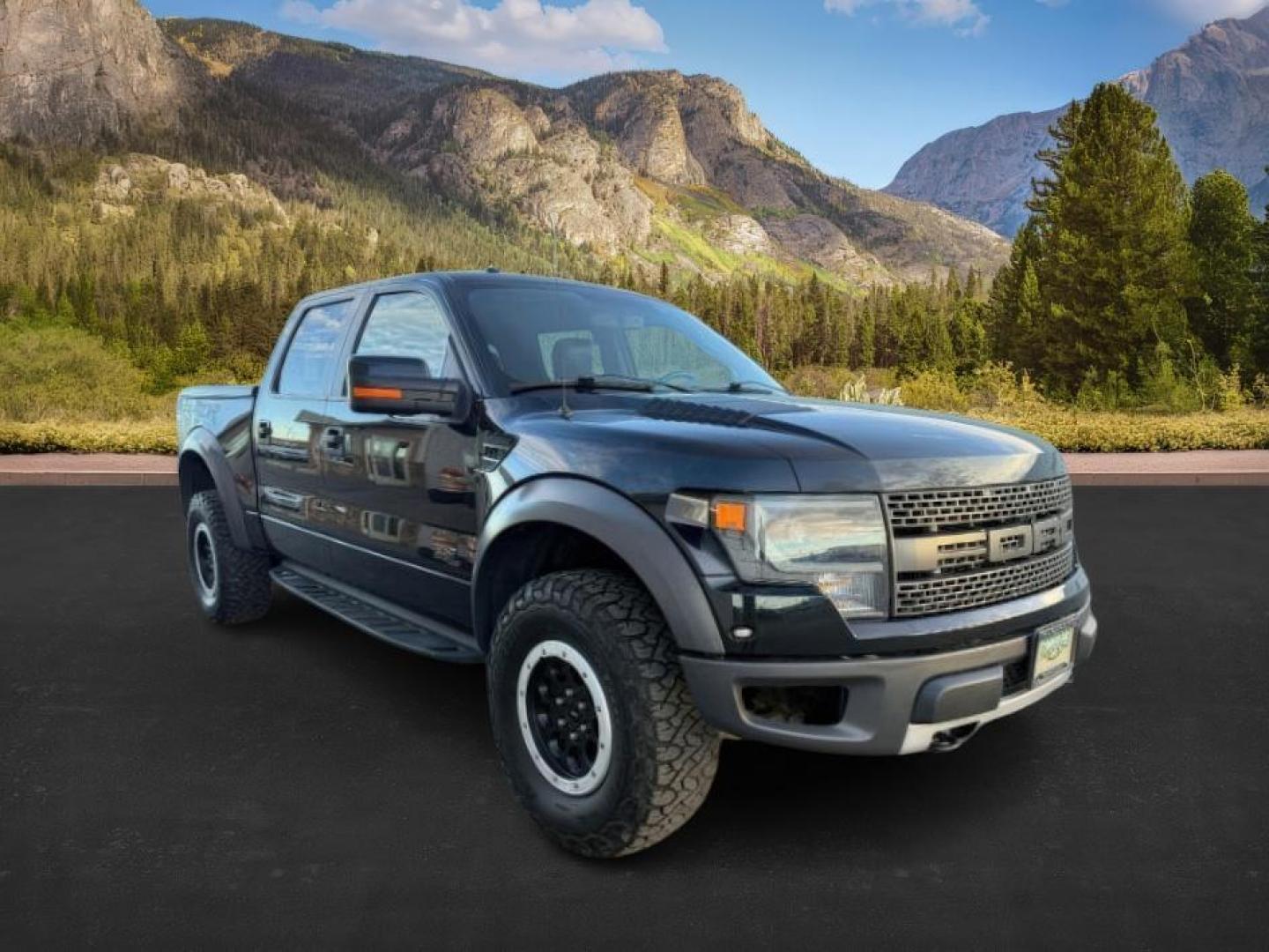 2014 Tuxedo Black Metallic /Black Ford F-150 (1FTFW1R69EF) with an 62L V-8 variable valve control engine, Automatic transmission, located at 1175 N Woodruff Ave, Idaho Falls, ID, 83401, 43.506901, -111.999657 - At Timberline Auto, finding a great deal on your next vehicle is always easy! Our experienced sales staff's goal is to help find you the right vehicle at the right price! Our knowledgeable finance department has options for almost any credit score. We offer extended service contract options to prote - Photo#8