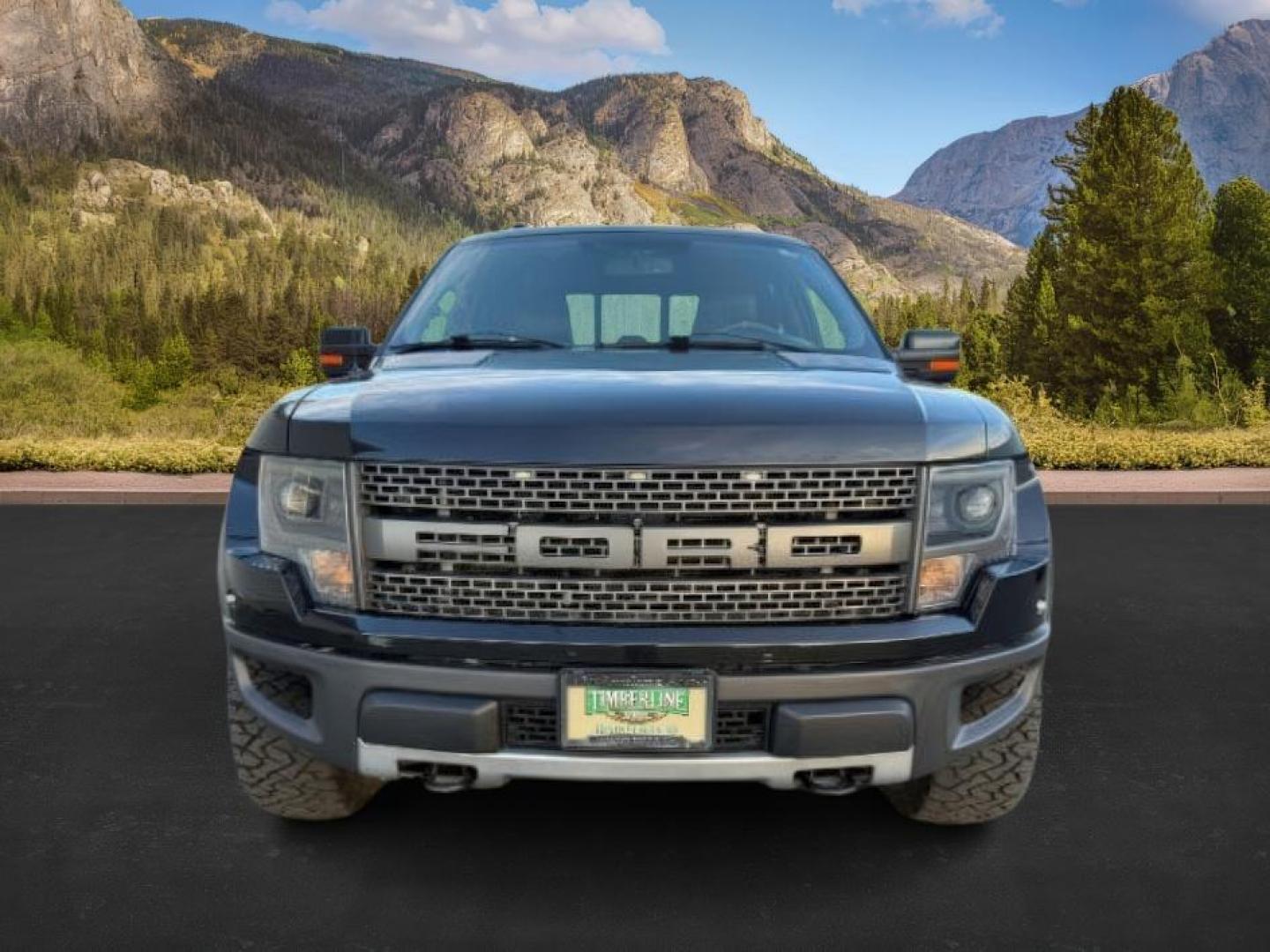 2014 Tuxedo Black Metallic /Black Ford F-150 (1FTFW1R69EF) with an 62L V-8 variable valve control engine, Automatic transmission, located at 1175 N Woodruff Ave, Idaho Falls, ID, 83401, 43.506901, -111.999657 - At Timberline Auto, finding a great deal on your next vehicle is always easy! Our experienced sales staff's goal is to help find you the right vehicle at the right price! Our knowledgeable finance department has options for almost any credit score. We offer extended service contract options to prote - Photo#9