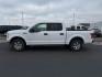 2015 Oxford White /Medium Earth Gray Ford F-150 (1FTEW1EP3FK) with an EcoBoost 35L V-6 gasoline direct injection engine, Automatic transmission, located at 1175 N Woodruff Ave, Idaho Falls, ID, 83401, 43.506901, -111.999657 - At Timberline Auto, finding a great deal on your next vehicle is always easy! Our experienced sales staff's goal is to help find you the right vehicle at the right price! Our knowledgeable finance department has options for almost any credit score. We offer extended service contract options to prote - Photo#1
