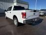 2015 Oxford White /Medium Earth Gray Ford F-150 (1FTEW1EP3FK) with an EcoBoost 35L V-6 gasoline direct injection engine, Automatic transmission, located at 1175 N Woodruff Ave, Idaho Falls, ID, 83401, 43.506901, -111.999657 - At Timberline Auto, finding a great deal on your next vehicle is always easy! Our experienced sales staff's goal is to help find you the right vehicle at the right price! Our knowledgeable finance department has options for almost any credit score. We offer extended service contract options to prote - Photo#26