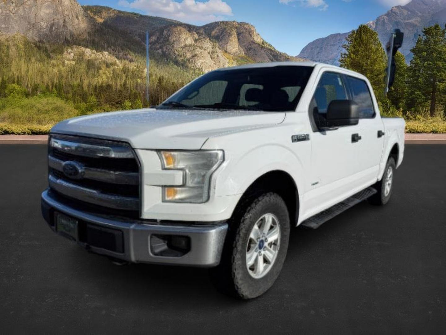 2015 Ford F-150 XLT's photo