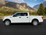 2015 Oxford White /Medium Earth Gray Ford F-150 (1FTEW1EP3FK) with an EcoBoost 35L V-6 gasoline direct injection engine, Automatic transmission, located at 1175 N Woodruff Ave, Idaho Falls, ID, 83401, 43.506901, -111.999657 - At Timberline Auto, finding a great deal on your next vehicle is always easy! Our experienced sales staff's goal is to help find you the right vehicle at the right price! Our knowledgeable finance department has options for almost any credit score. We offer extended service contract options to prote - Photo#1