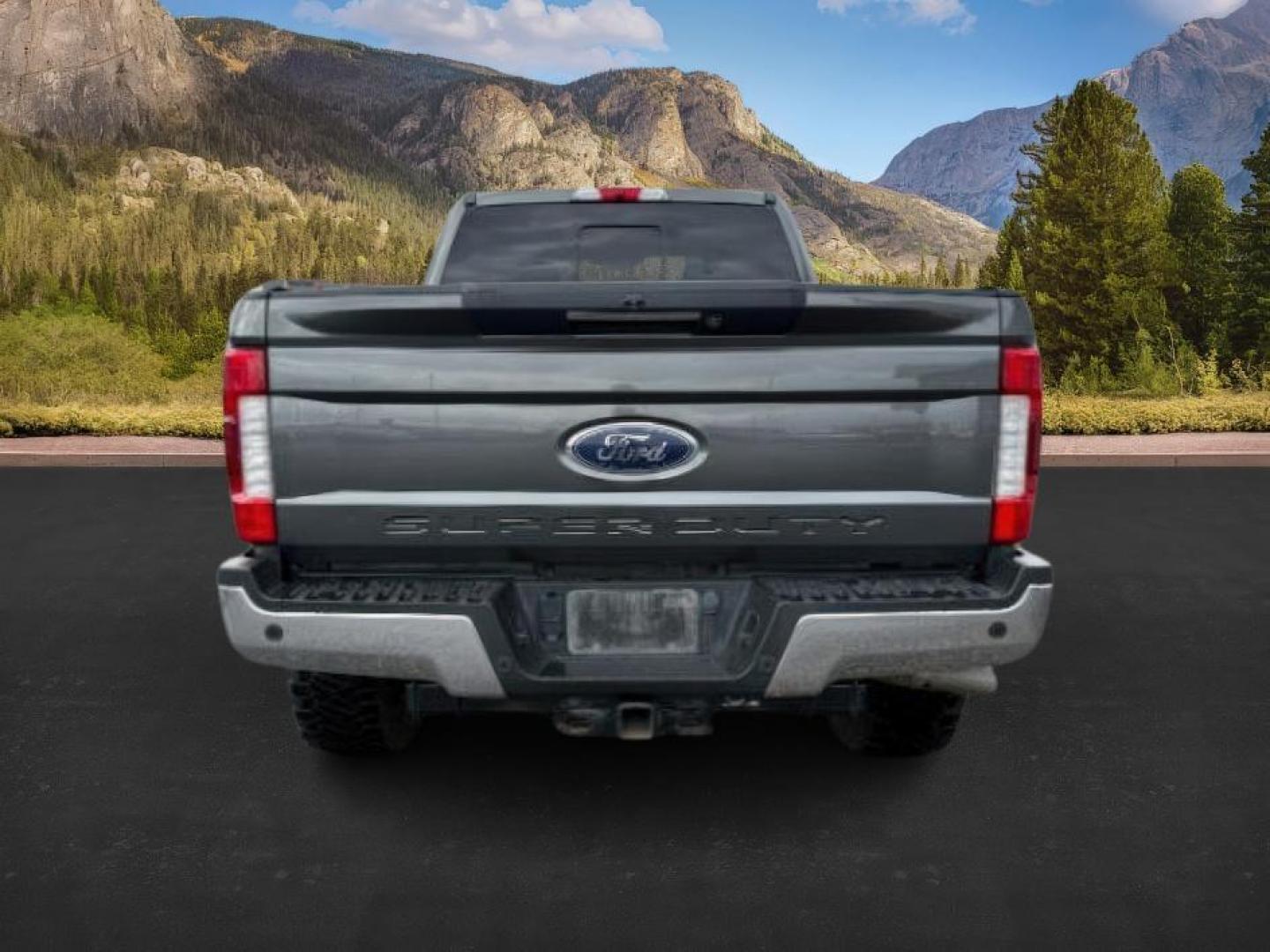 2019 GRAY /Black Ford F-350 (1FT8W3BT2KE) with an Powerstroke 67L V-8 diesel direct injection engine, Automatic transmission, located at 1175 N Woodruff Ave, Idaho Falls, ID, 83401, 43.506901, -111.999657 - At Timberline Auto, finding a great deal on your next vehicle is always easy! Our experienced sales staff's goal is to help find you the right vehicle at the right price! Our knowledgeable finance department has options for almost any credit score. We offer extended service contract options to prote - Photo#3