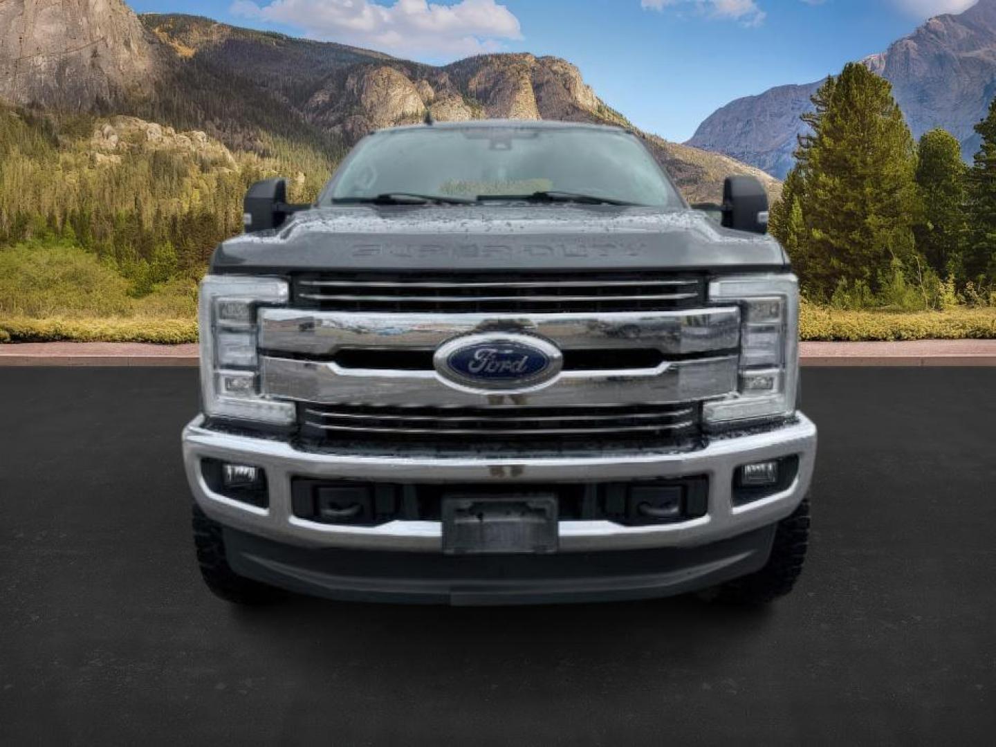 2019 GRAY /Black Ford F-350 (1FT8W3BT2KE) with an Powerstroke 67L V-8 diesel direct injection engine, Automatic transmission, located at 1175 N Woodruff Ave, Idaho Falls, ID, 83401, 43.506901, -111.999657 - At Timberline Auto, finding a great deal on your next vehicle is always easy! Our experienced sales staff's goal is to help find you the right vehicle at the right price! Our knowledgeable finance department has options for almost any credit score. We offer extended service contract options to prote - Photo#9