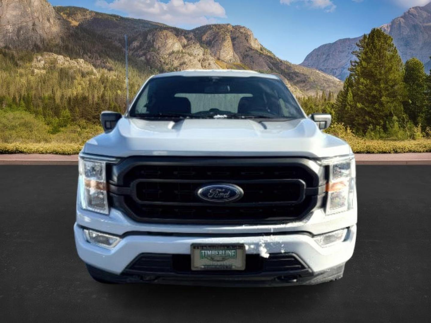 2022 WHITE /Black w/Medium Dark Slate Ford F-150 (1FTEW1EP2NK) with an EcoBoost 27L V-6 portdirect injection engine, Automatic transmission, located at 1175 N Woodruff Ave, Idaho Falls, ID, 83401, 43.506901, -111.999657 - At Timberline Auto, finding a great deal on your next vehicle is always easy! Our experienced sales staff's goal is to help find you the right vehicle at the right price! Our knowledgeable finance department has options for almost any credit score. We offer extended service contract options to prote - Photo#9
