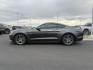 2017 GRAY /Ebony Ford Mustang (1FA6P8CF4H5) with an 5L V-8 DOHC engine, Manual transmission, located at 1175 N Woodruff Ave, Idaho Falls, ID, 83401, 43.506901, -111.999657 - At Timberline Auto, finding a great deal on your next vehicle is always easy! Our experienced sales staff's goal is to help find you the right vehicle at the right price! Our knowledgeable finance department has options for almost any credit score. We offer extended service contract options to prote - Photo#1