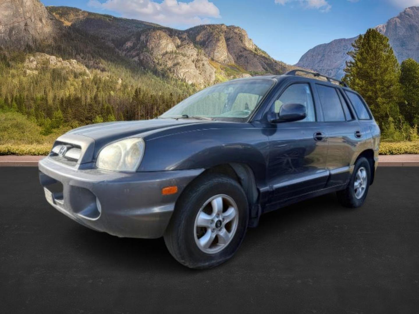2005 GRAY /CLOTH Hyundai Santa Fe (KM8SC13D15U) with an 27L V6 engine, Automatic transmission, located at 1175 N Woodruff Ave, Idaho Falls, ID, 83401, 43.506901, -111.999657 - Photo#0
