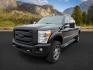 2015 Tuxedo Black Metallic /Black Ford F-350 PLATINUM (1FT8W3BT1FE) with an Powerstroke 6.7L V-8 diesel direct injection engine, AUTOMATIC transmission, located at 1235 N Woodruff Ave., Idaho Falls, 83401, (208) 523-1053, 43.507172, -112.000488 - Photo#0