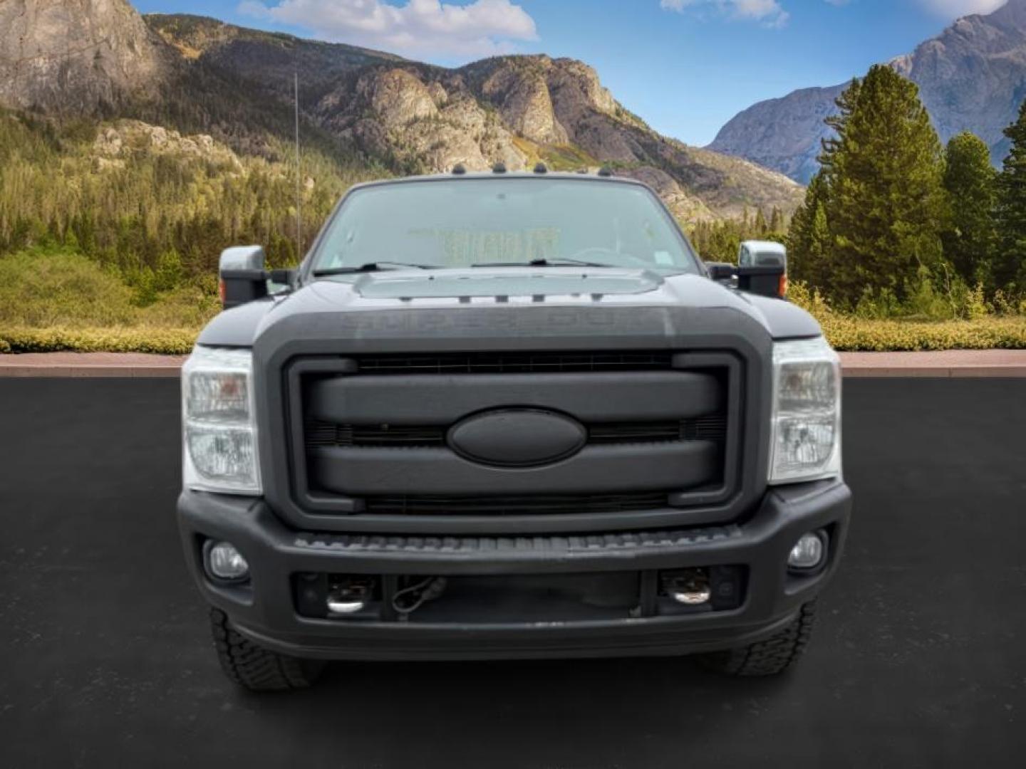 2015 Tuxedo Black Metallic /Black Ford F-350 PLATINUM (1FT8W3BT1FE) with an Powerstroke 6.7L V-8 diesel direct injection engine, AUTOMATIC transmission, located at 1235 N Woodruff Ave., Idaho Falls, 83401, (208) 523-1053, 43.507172, -112.000488 - Photo#8