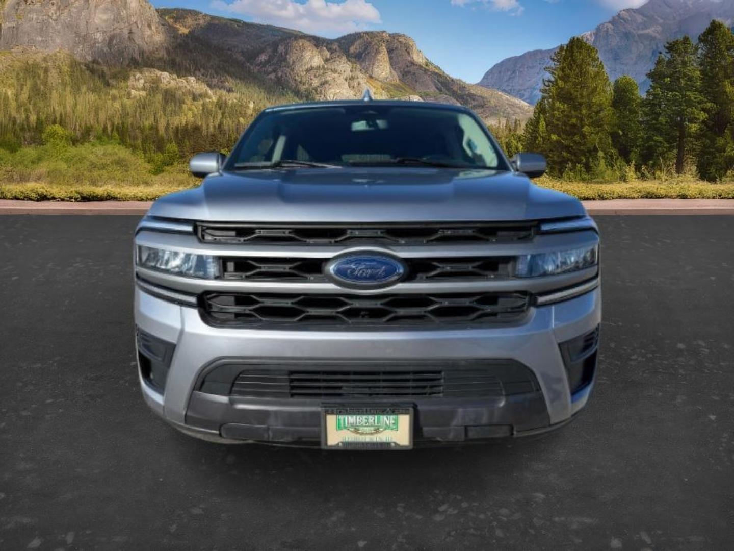 2024 SILVER /Black Onyx Ford Expedition (1FMJK1J80RE) with an EcoBoost 35L V-6 portdirect injection engine, Automatic transmission, located at 1175 N Woodruff Ave, Idaho Falls, ID, 83401, 43.506901, -111.999657 - At Timberline Auto, finding a great deal on your next vehicle is always easy! Our experienced sales staff's goal is to help find you the right vehicle at the right price! Our knowledgeable finance department has options for almost any credit score. We offer extended service contract options to prote - Photo#12