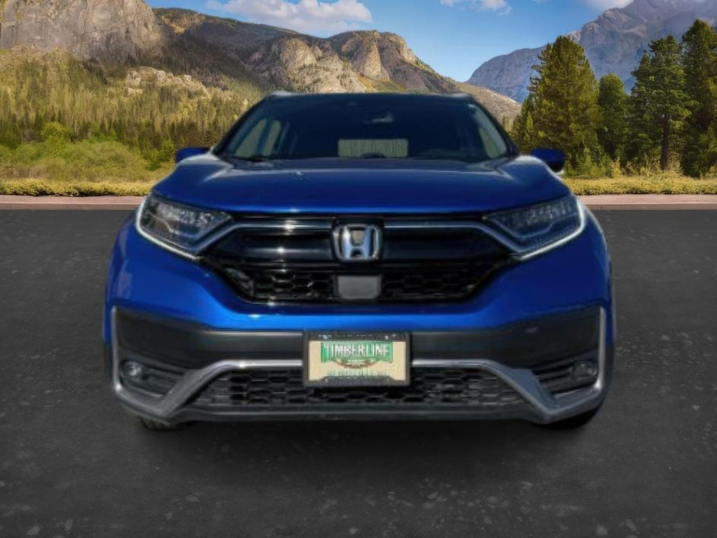 2020 BLUE /Black Honda CR-V AWD Touring (7FARW2H91LE) with an 1.5L I-4 gasoline direct injection engine, AUTOMATIC transmission, located at 1235 N Woodruff Ave., Idaho Falls, 83401, (208) 523-1053, 43.507172, -112.000488 - At Timberline Auto, finding a great deal on your next vehicle is always easy! Our experienced sales staff's goal is to help find you the right vehicle at the right price! Our knowledgeable finance department has options for almost any credit score. We offer extended service contract options to prote - Photo#11