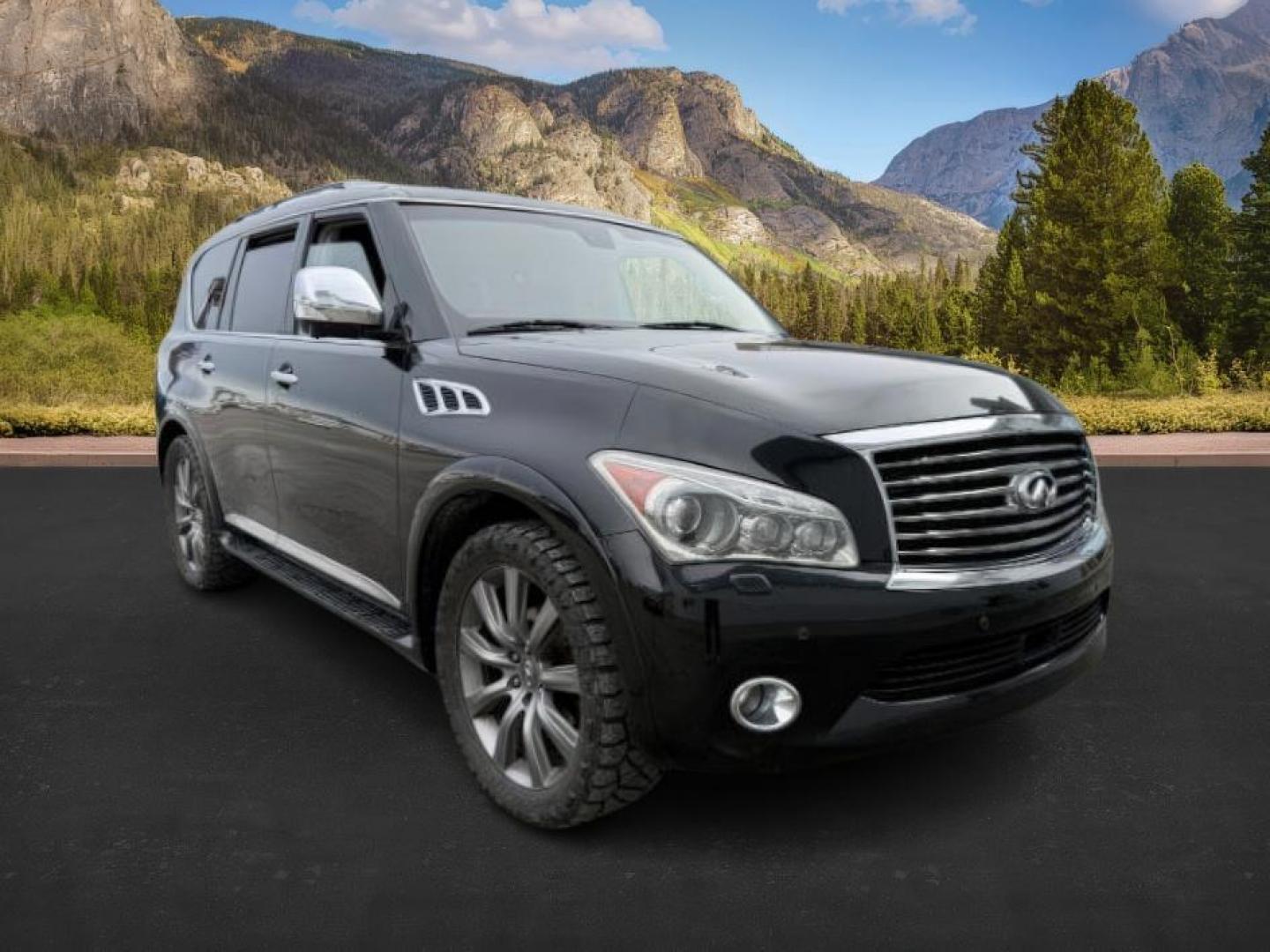 2013 BLACK /CLOTH Infiniti QX56 (JN8AZ2NEXD9) with an 56L V8 engine, Automatic transmission, located at 1175 N Woodruff Ave, Idaho Falls, ID, 83401, 43.506901, -111.999657 - Photo#10