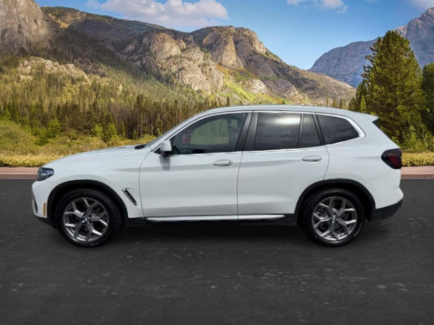 2024 Alpine White /Black BMW X3 (5UX53DP06R9) with an 2L I-4 gasoline direct injection engine, Automatic transmission, located at 1175 N Woodruff Ave, Idaho Falls, ID, 83401, 43.506901, -111.999657 - Photo#1