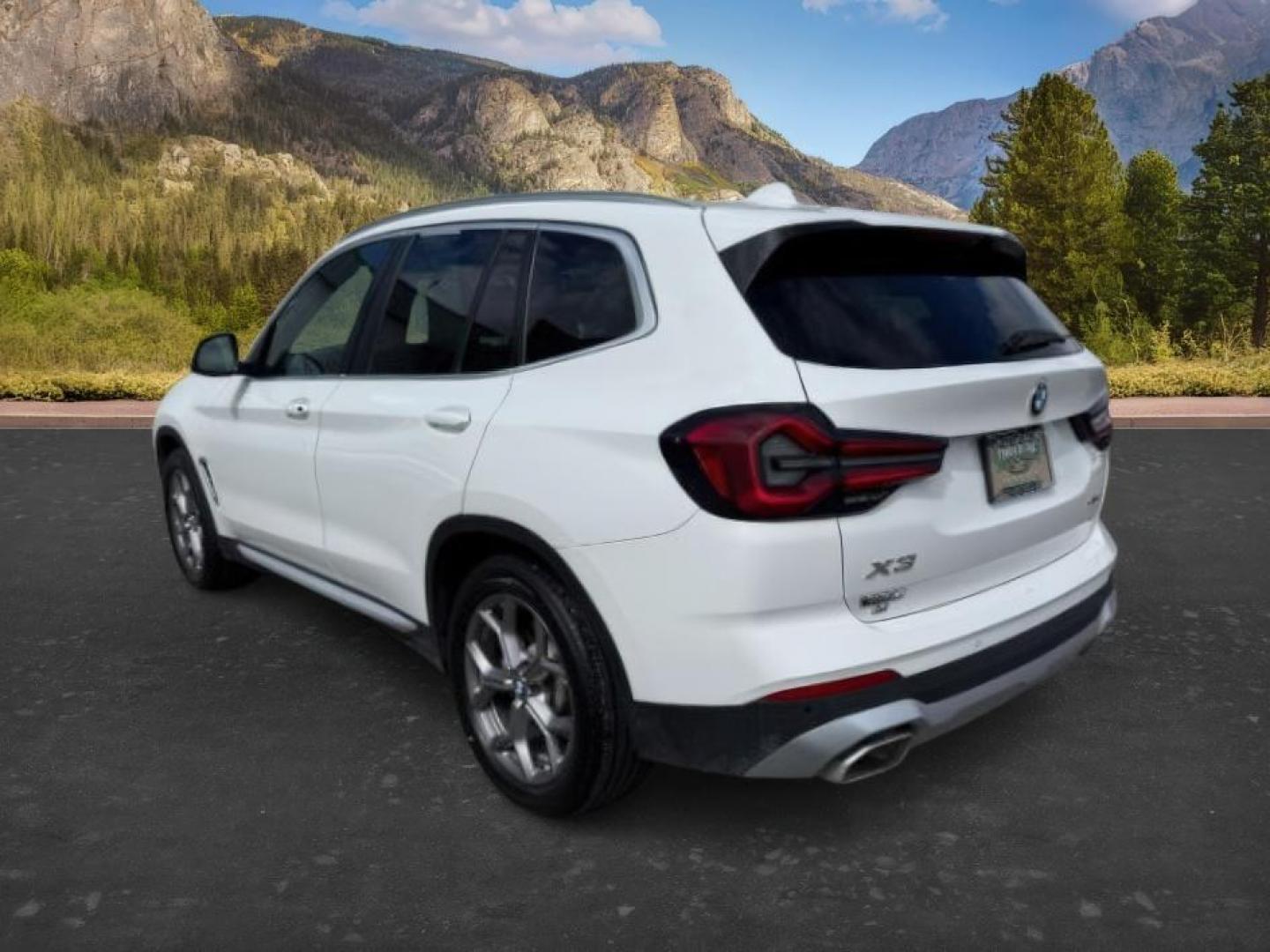 2024 Alpine White /Black BMW X3 (5UX53DP06R9) with an 2L I-4 gasoline direct injection engine, Automatic transmission, located at 1175 N Woodruff Ave, Idaho Falls, ID, 83401, 43.506901, -111.999657 - Photo#2