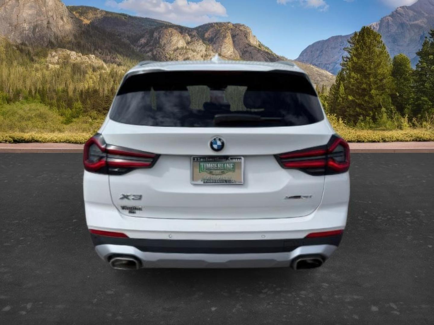 2024 Alpine White /Black BMW X3 (5UX53DP06R9) with an 2L I-4 gasoline direct injection engine, Automatic transmission, located at 1175 N Woodruff Ave, Idaho Falls, ID, 83401, 43.506901, -111.999657 - Photo#3