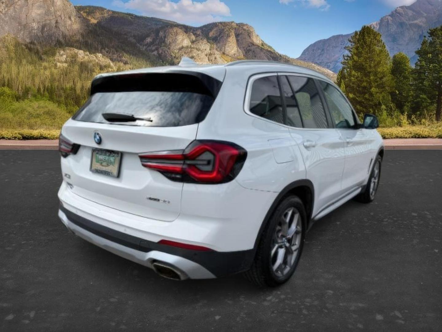 2024 Alpine White /Black BMW X3 (5UX53DP06R9) with an 2L I-4 gasoline direct injection engine, Automatic transmission, located at 1175 N Woodruff Ave, Idaho Falls, ID, 83401, 43.506901, -111.999657 - Photo#8