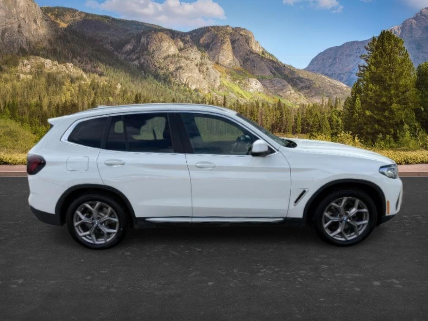 2024 Alpine White /Black BMW X3 (5UX53DP06R9) with an 2L I-4 gasoline direct injection engine, Automatic transmission, located at 1175 N Woodruff Ave, Idaho Falls, ID, 83401, 43.506901, -111.999657 - Photo#9