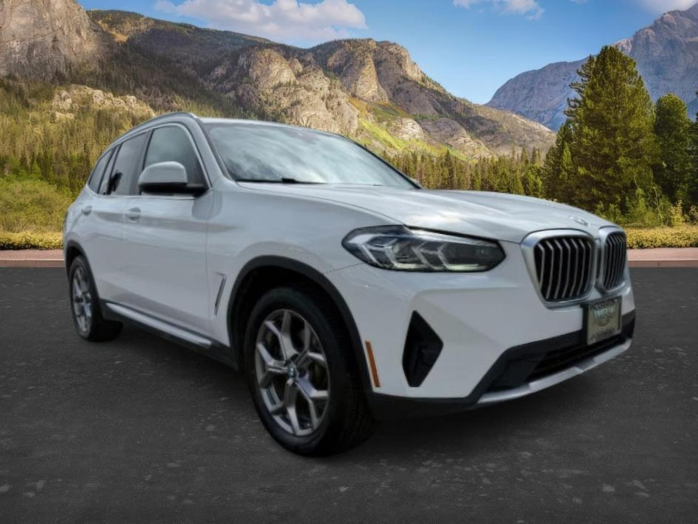 2024 Alpine White /Black BMW X3 (5UX53DP06R9) with an 2L I-4 gasoline direct injection engine, Automatic transmission, located at 1175 N Woodruff Ave, Idaho Falls, ID, 83401, 43.506901, -111.999657 - Photo#10