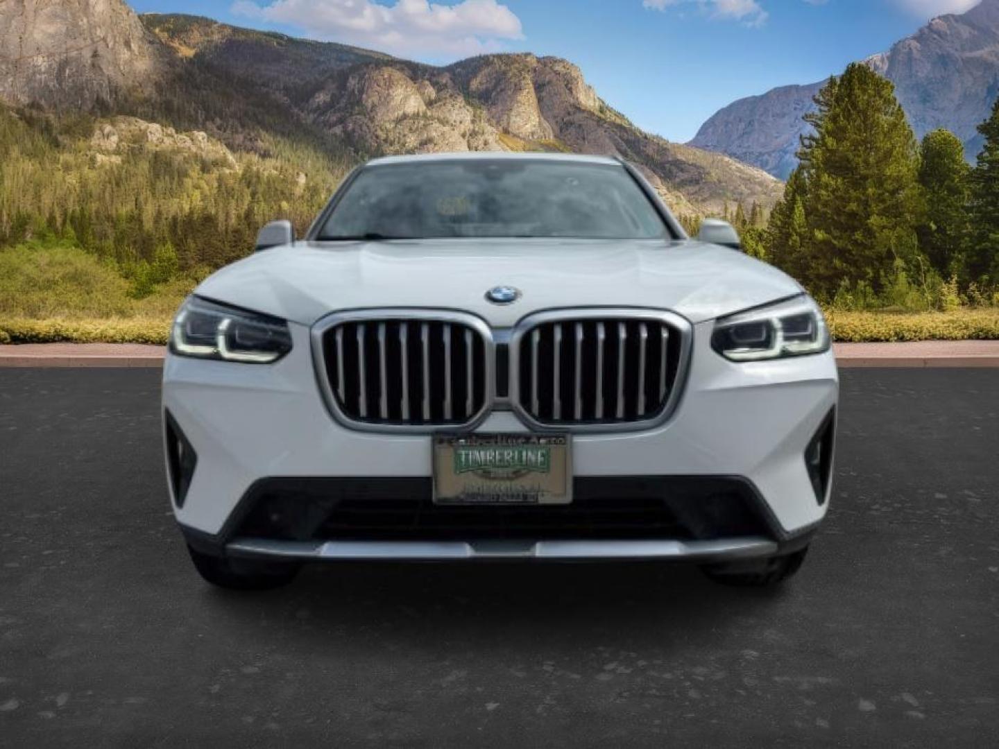 2024 Alpine White /Black BMW X3 (5UX53DP06R9) with an 2L I-4 gasoline direct injection engine, Automatic transmission, located at 1175 N Woodruff Ave, Idaho Falls, ID, 83401, 43.506901, -111.999657 - Photo#11