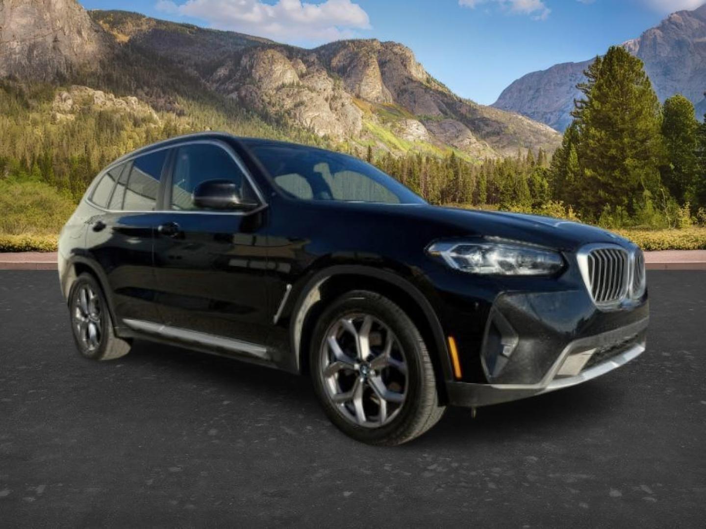 2024 BLACK /Black BMW X3 (5UX53DP07R9) with an 2L I-4 gasoline direct injection engine, Automatic transmission, located at 1175 N Woodruff Ave, Idaho Falls, ID, 83401, 43.506901, -111.999657 - At Timberline Auto, finding a great deal on your next vehicle is always easy! Our experienced sales staff's goal is to help find you the right vehicle at the right price! Our knowledgeable finance department has options for almost any credit score. We offer extended service contract options to prote - Photo#10