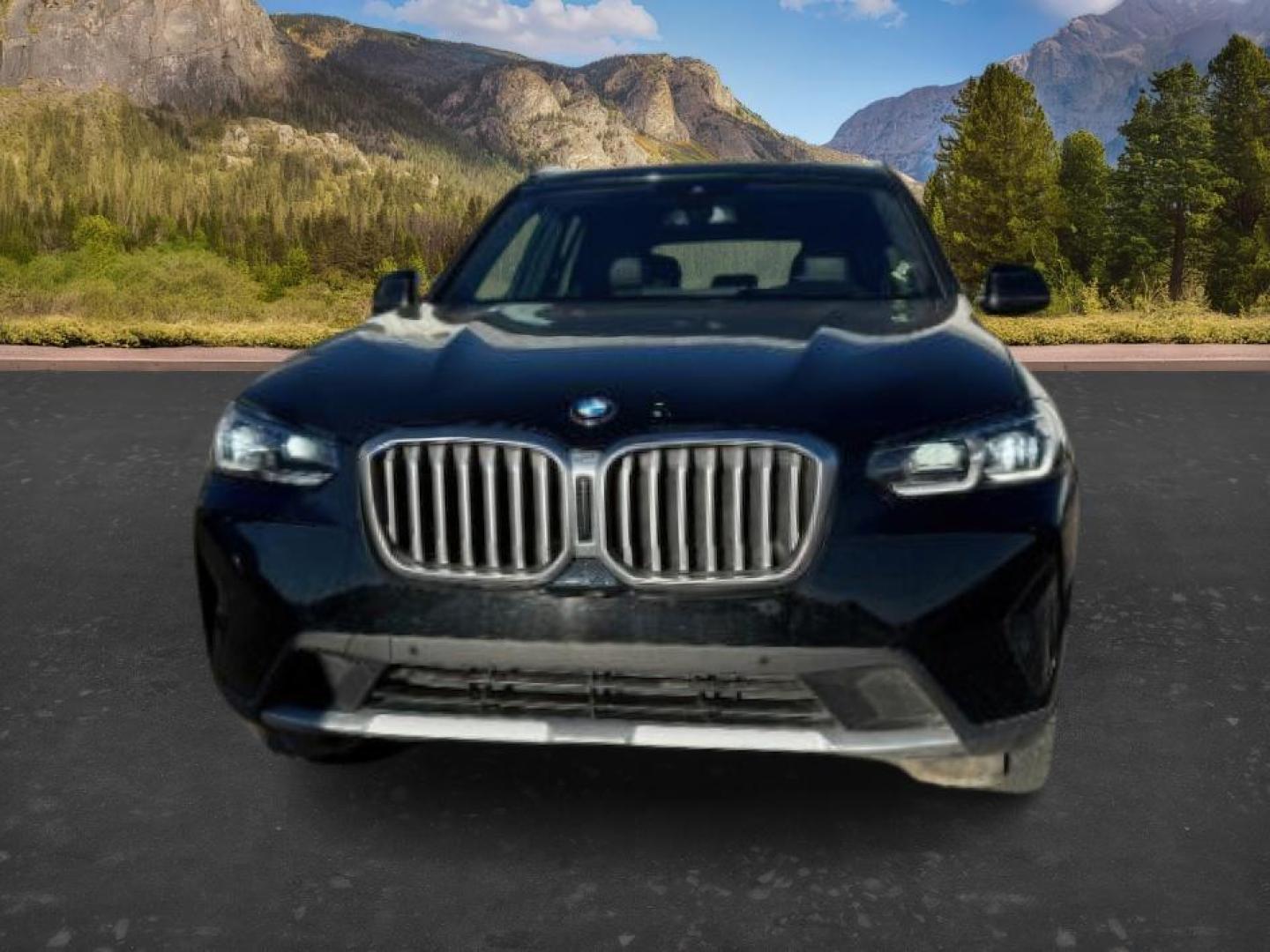 2024 BLACK /Black BMW X3 (5UX53DP07R9) with an 2L I-4 gasoline direct injection engine, Automatic transmission, located at 1175 N Woodruff Ave, Idaho Falls, ID, 83401, 43.506901, -111.999657 - At Timberline Auto, finding a great deal on your next vehicle is always easy! Our experienced sales staff's goal is to help find you the right vehicle at the right price! Our knowledgeable finance department has options for almost any credit score. We offer extended service contract options to prote - Photo#11